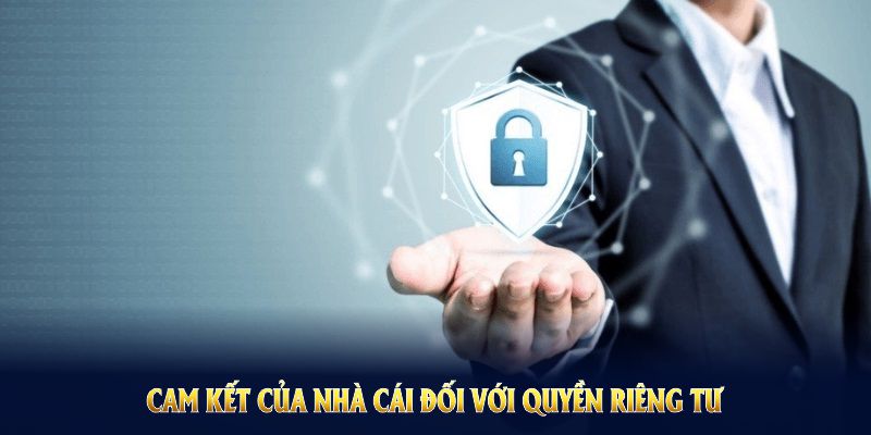 Công nghệ và quy trình kiểm tra dữ liệu tại SV388 cực chi tiết 